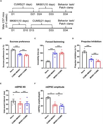 Metformin Enhances Antidepressant/Antipsychotic Combination Therapy of Schizophrenia With Comorbid Depression in a Murine Model